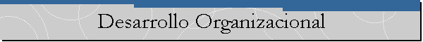 Desarrollo Organizacional