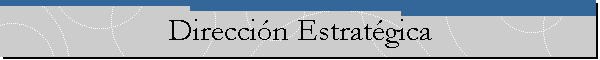 Direcci�n Estrat�gica