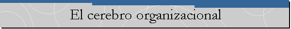 El cerebro organizacional