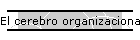 El cerebro organizacional
