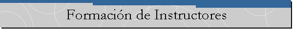 Formaci�n de Instructores