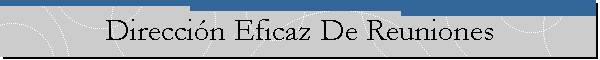 Direcci�n Eficaz De Reuniones